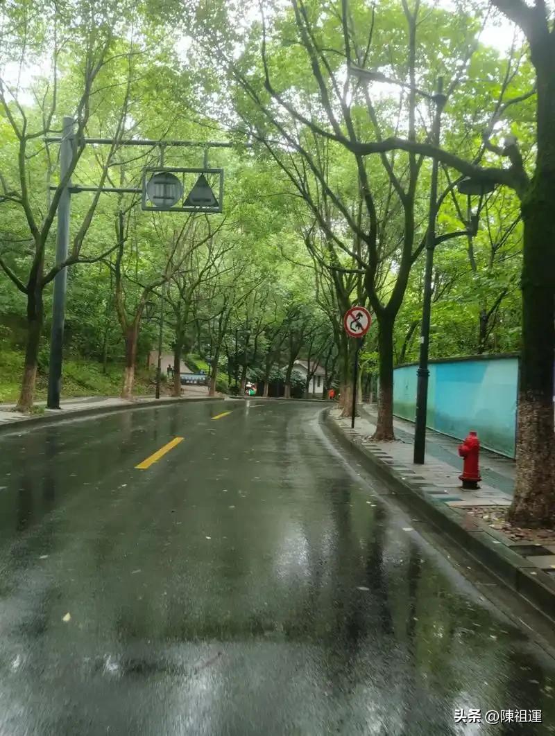 我忍不住拿出手机，记录下这美好的瞬间。路边的花朵上还挂着晶莹剔透的雨珠，在阳光的