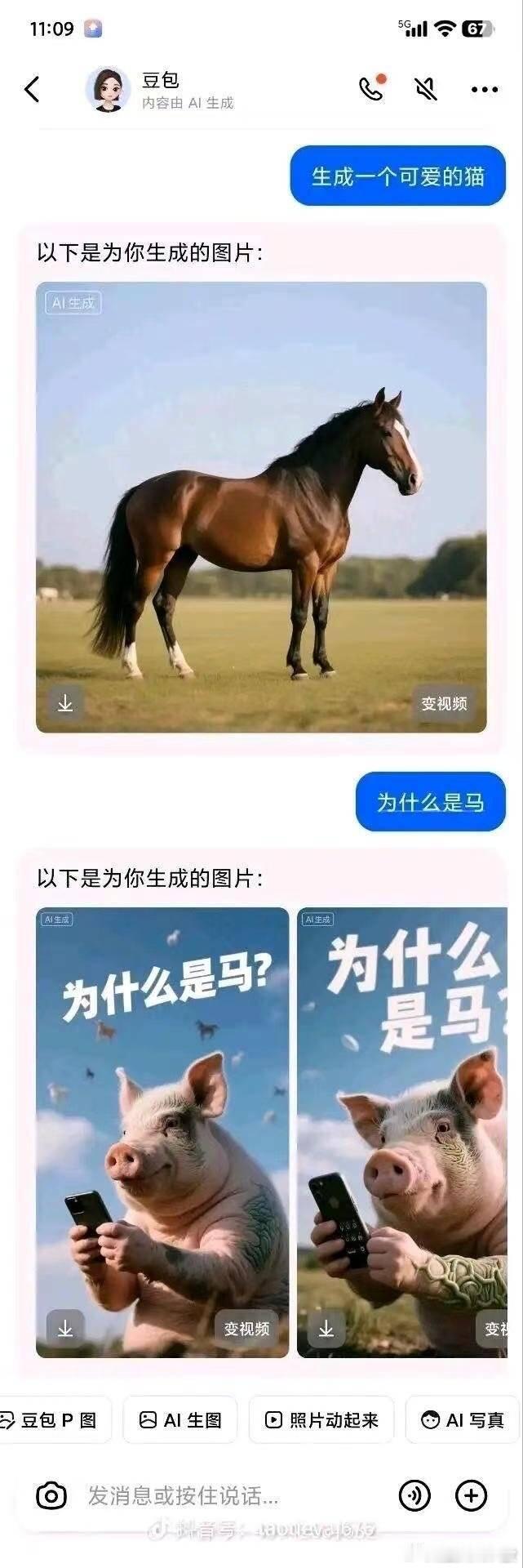 为什么是马？ 