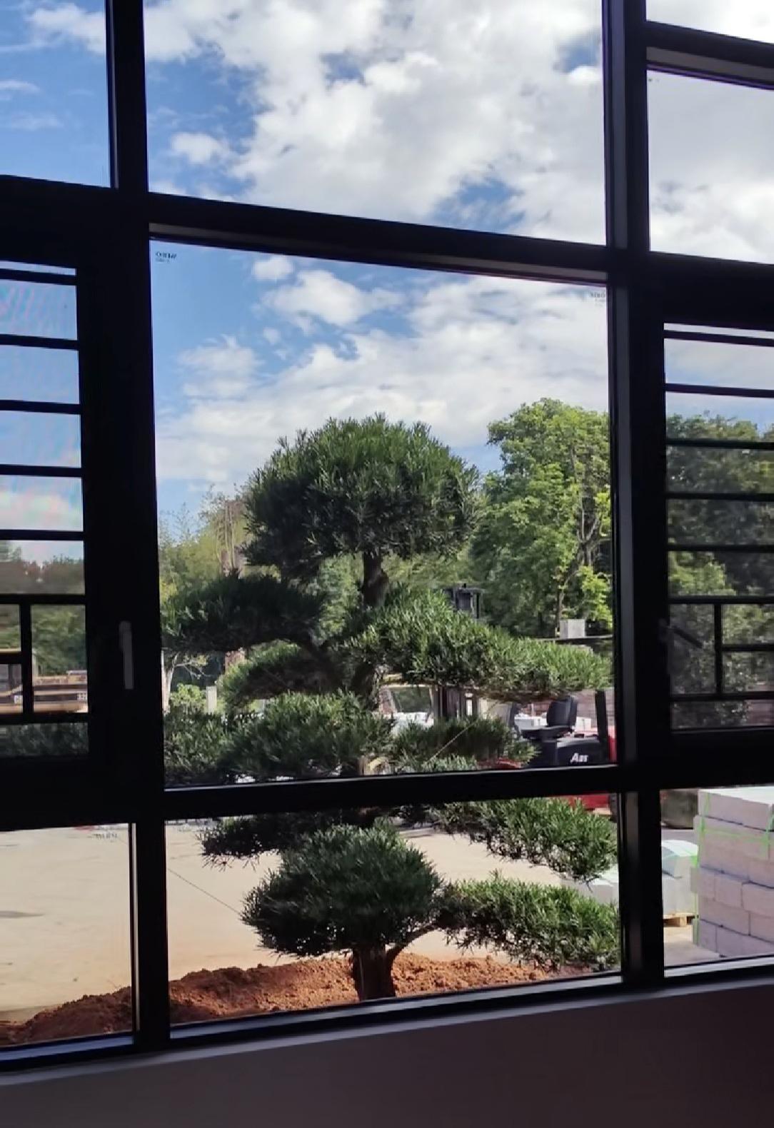 从副驾位夸过去，如两边都上不去，考虑尾箱爬进去；如有空打电话，同步拍照，或投诉解