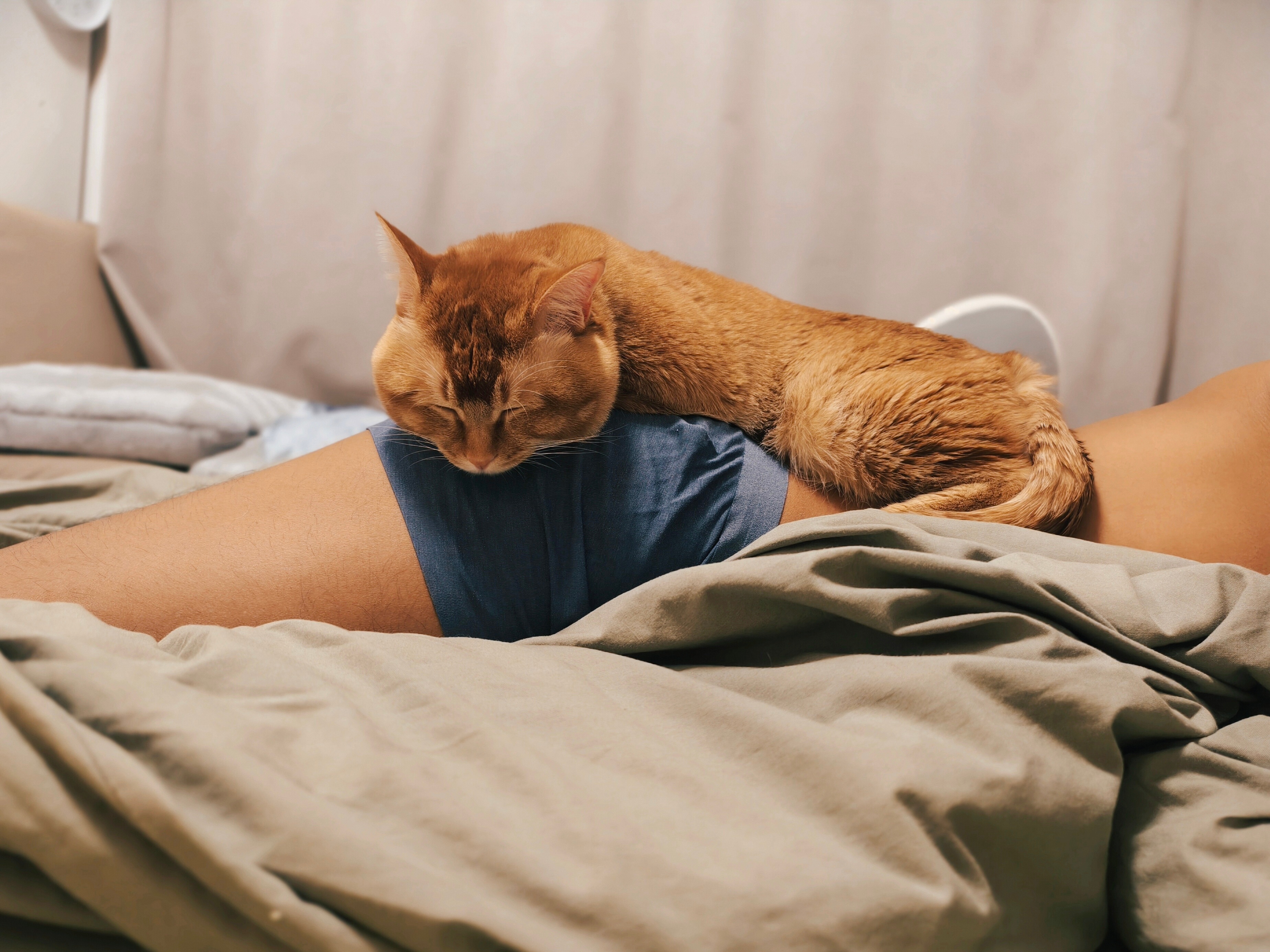 被喵喵硬控了30分钟🐈… 动弹不得[泪] 