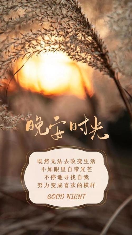 晚安 今日的句点已画圆，明日的序章待你开启晚安好梦 