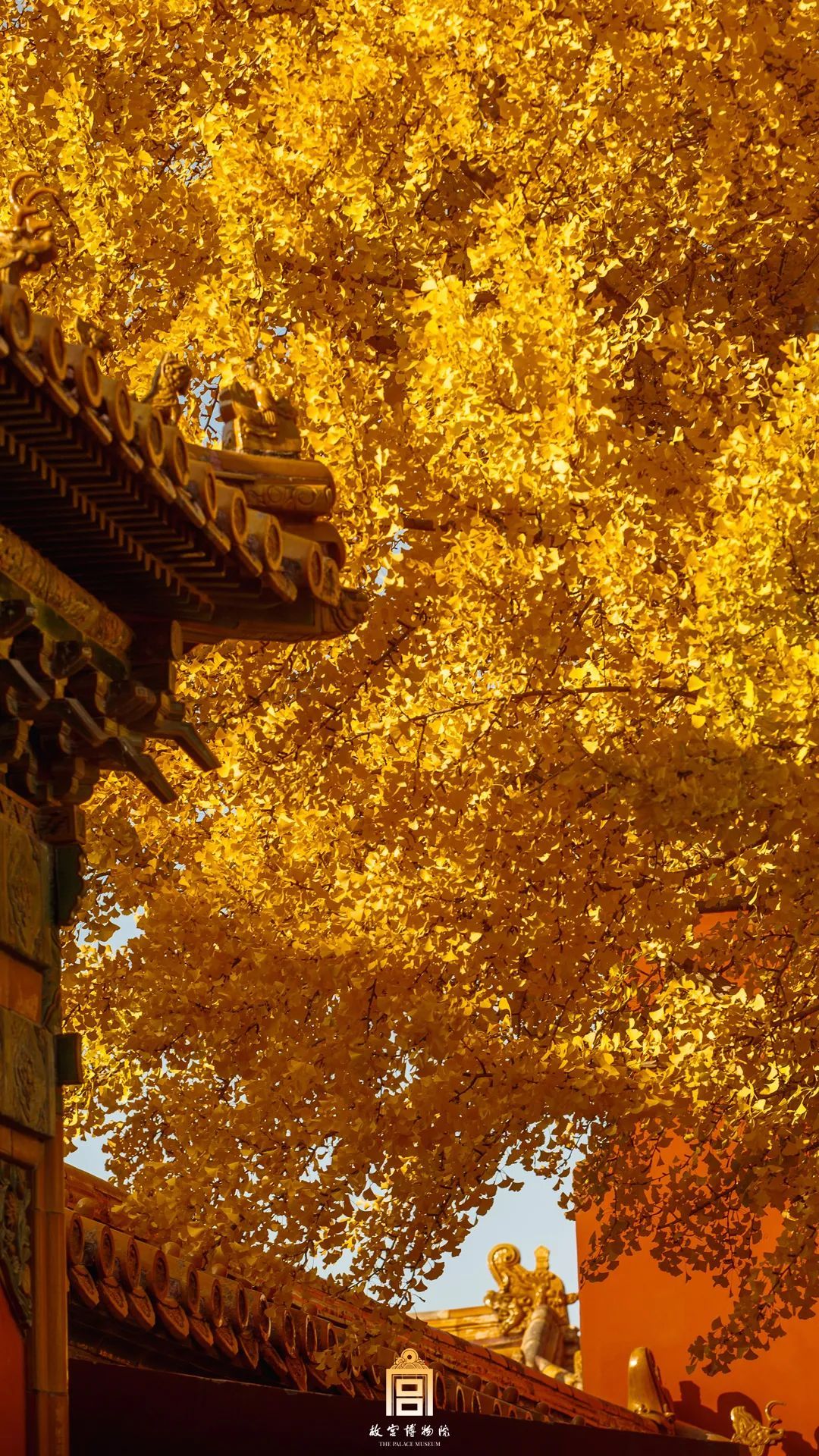 露结为霜，气肃而凝。秋深山有态，霜降水无痕。添衣随候变，静赏晚秋晴。心怀明月暖，