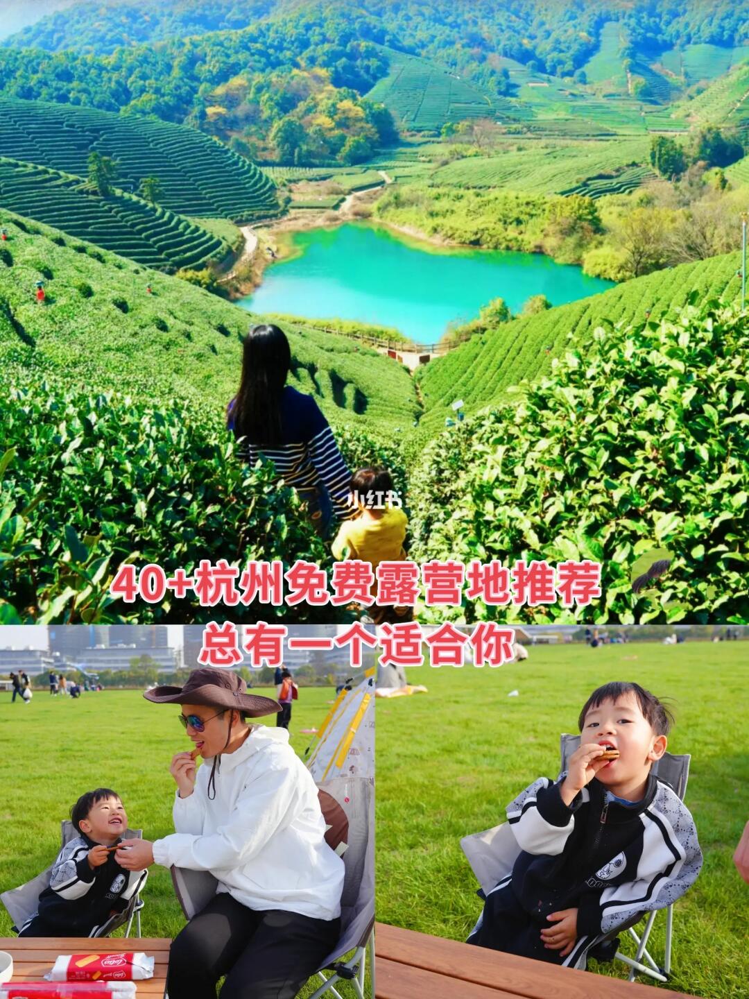 救命/杭州市区居然藏着这么多宝藏露营地