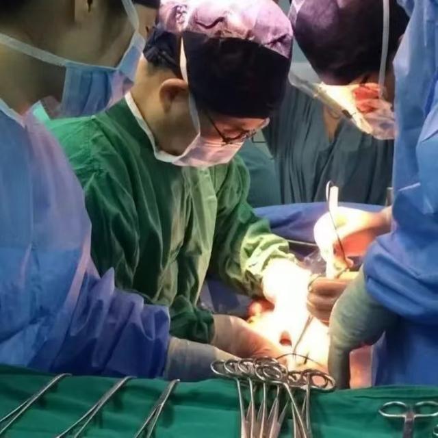 中国成功实现猪器官移植技术突破，给医学界带来4点重要启示。
1.技术创新的力量令