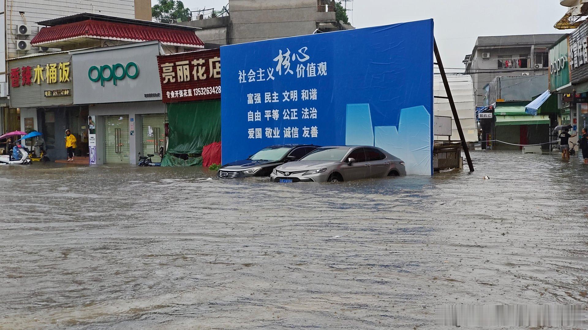 今日广东大暴雨，三舅的比亚迪宋当船开。 ​​​