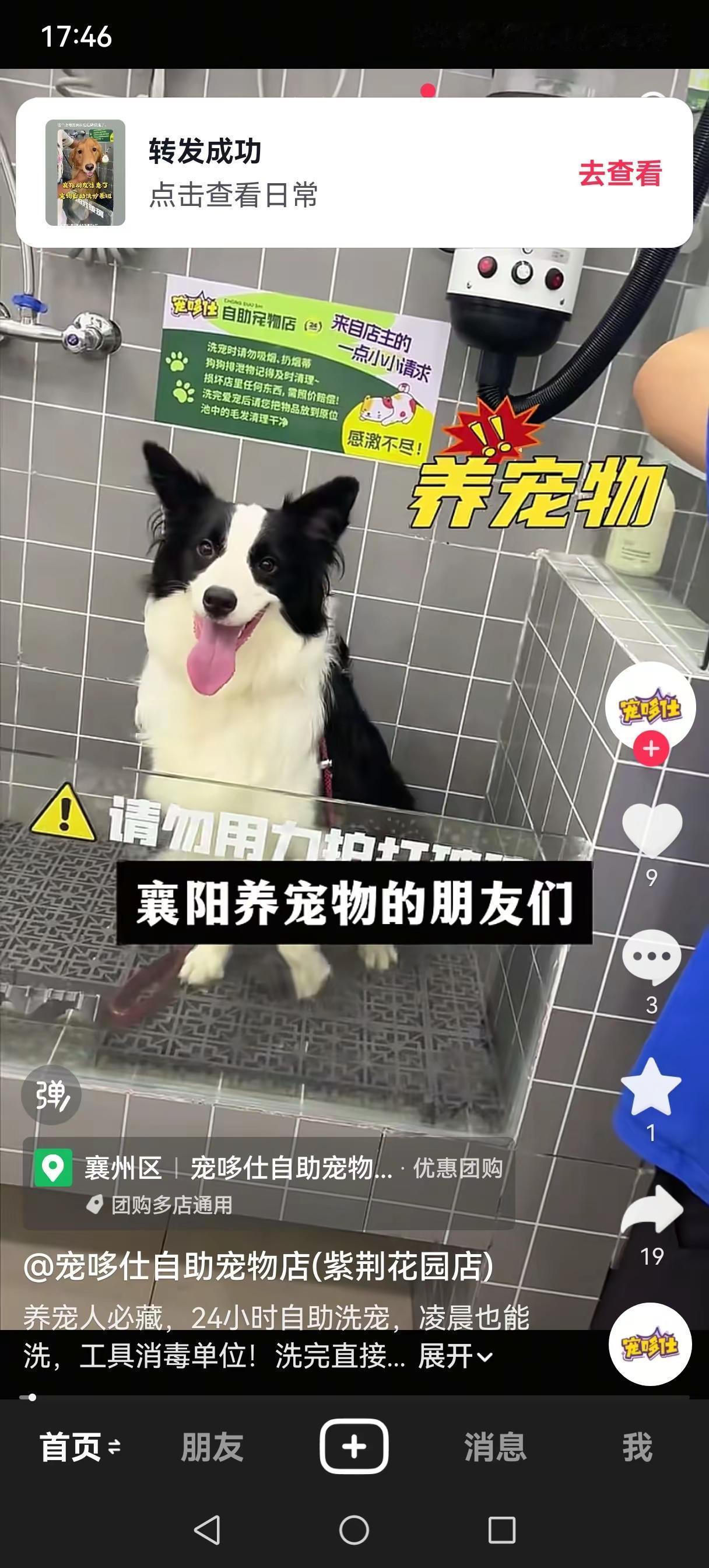 我评论了@代号Dollar 的作品：边牧就是玻璃胃，我们五六个月的时候也这样，大