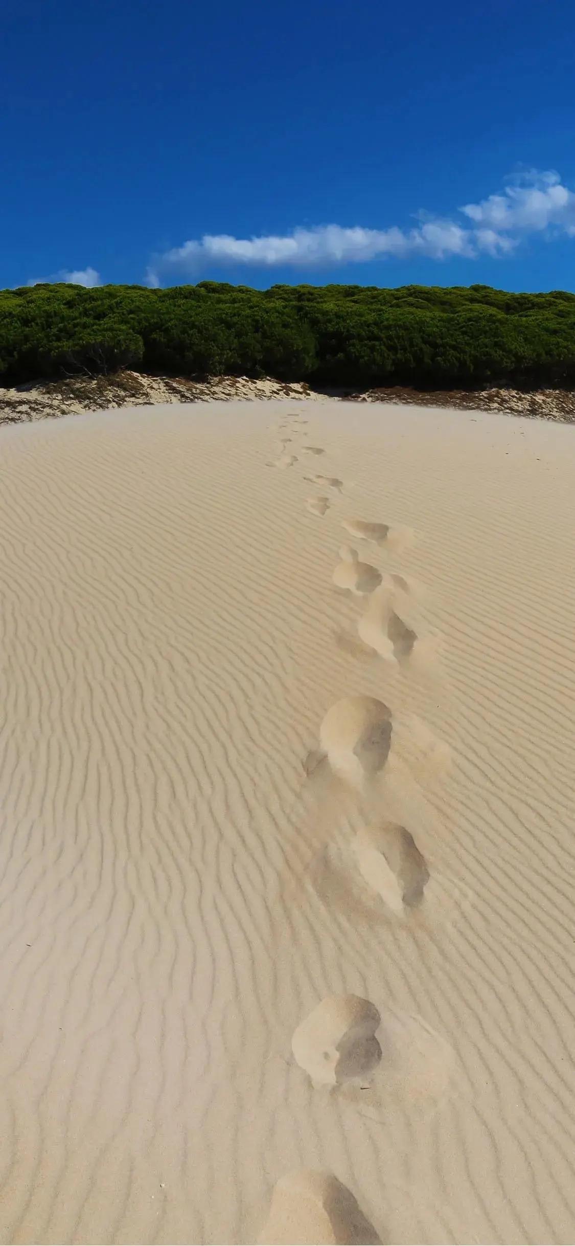在云州这片土地上，江湖风云变幻，暗流涌动。有两个声名远扬的门派，一个是秉持正义、