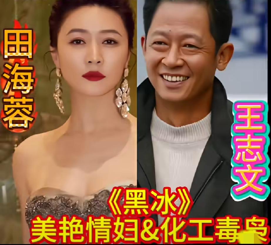 盘点田海蓉荧幕七位合作男星，戏骨云集，谁的表演最让人印象深刻？
从《黑冰》与王志