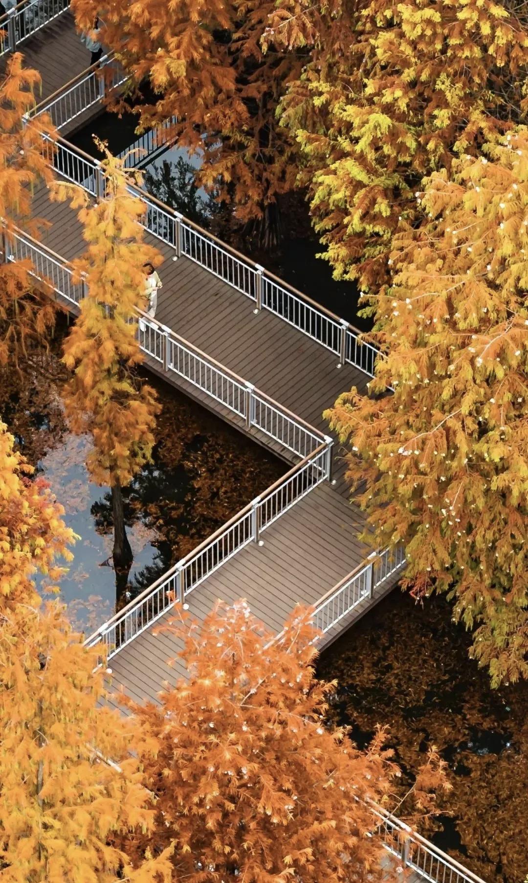 【当四十岁时，身体健康，略有积蓄，丈夫体贴，孩子听话，有一份真正喜欢的工作，这就