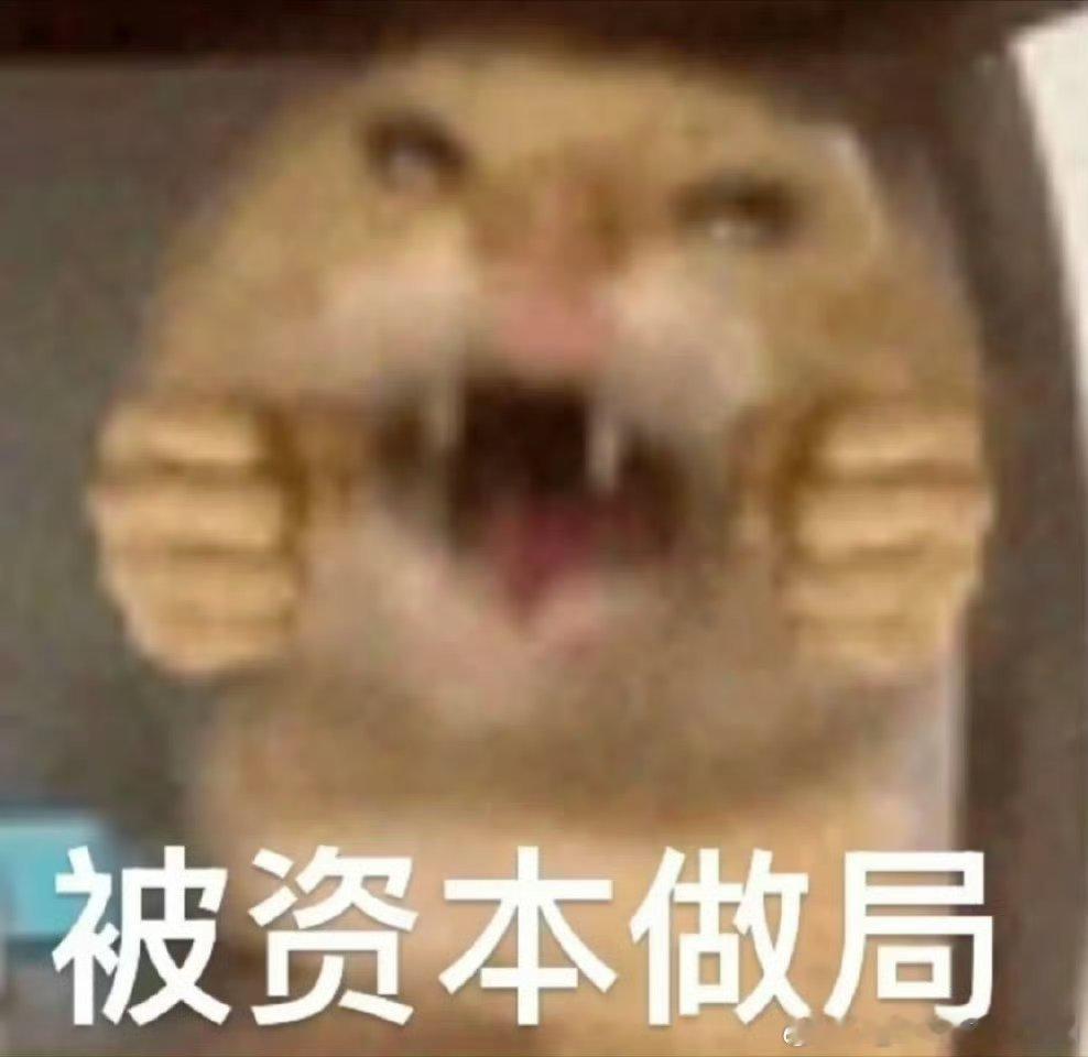 落日雨辉每次上rs都莫名其妙好突然……我完全来不及发 为什么 ​​​