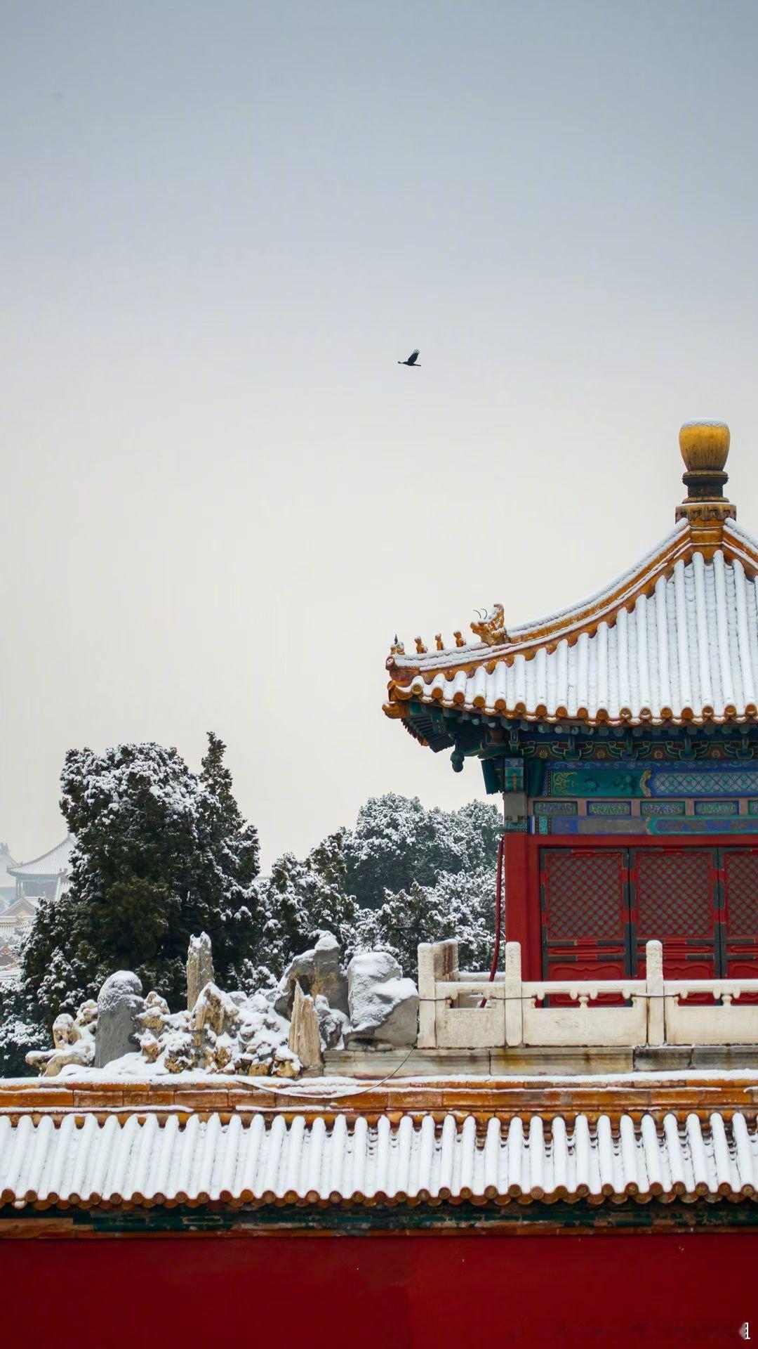 游客一早排队进故宫等雪游客排队进故宫初雪真的很美来几个老板照的故宫初雪北京真的很