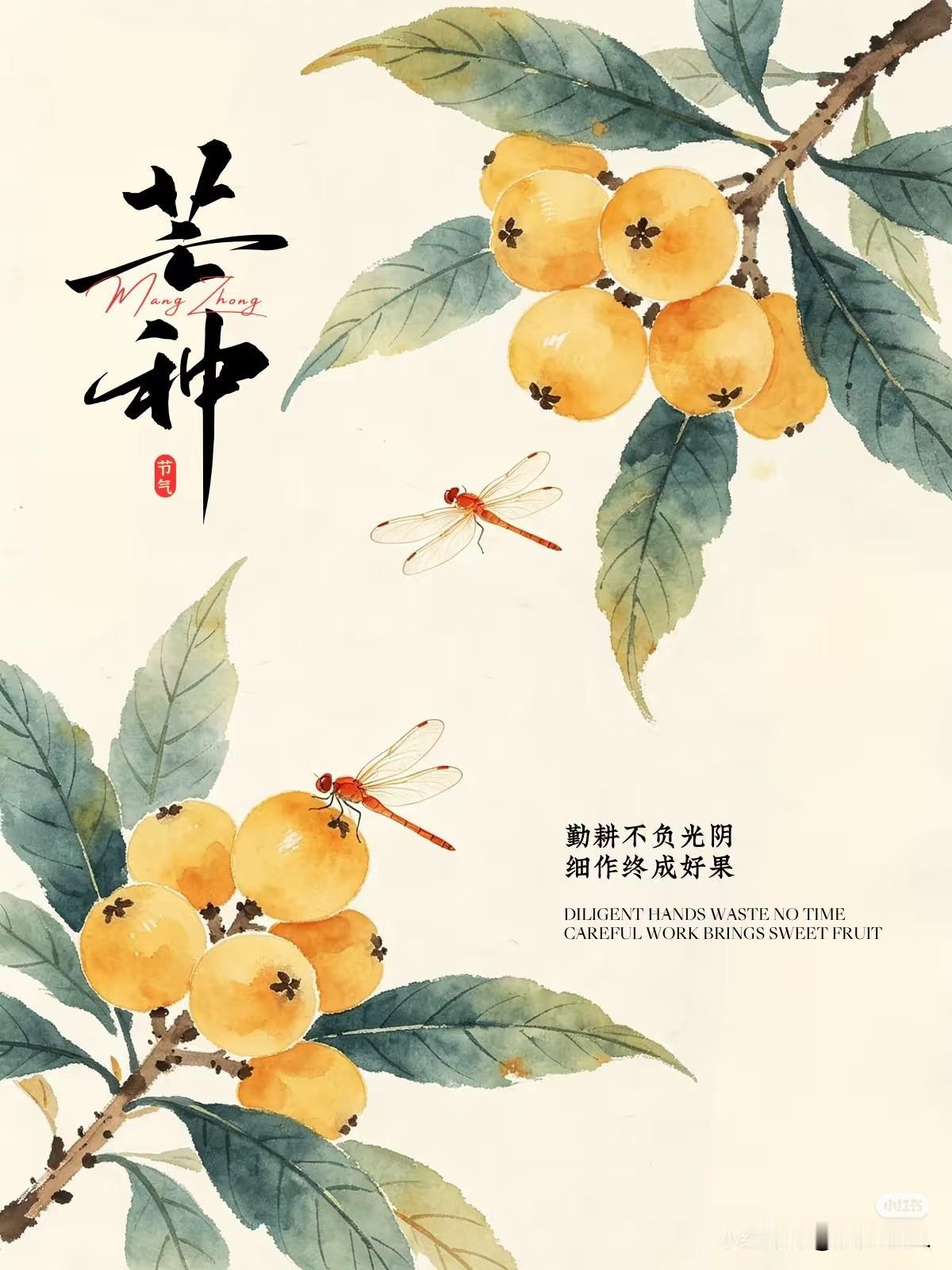 芒种时节万物丰盛
瓜果飘香麦浪滚滚