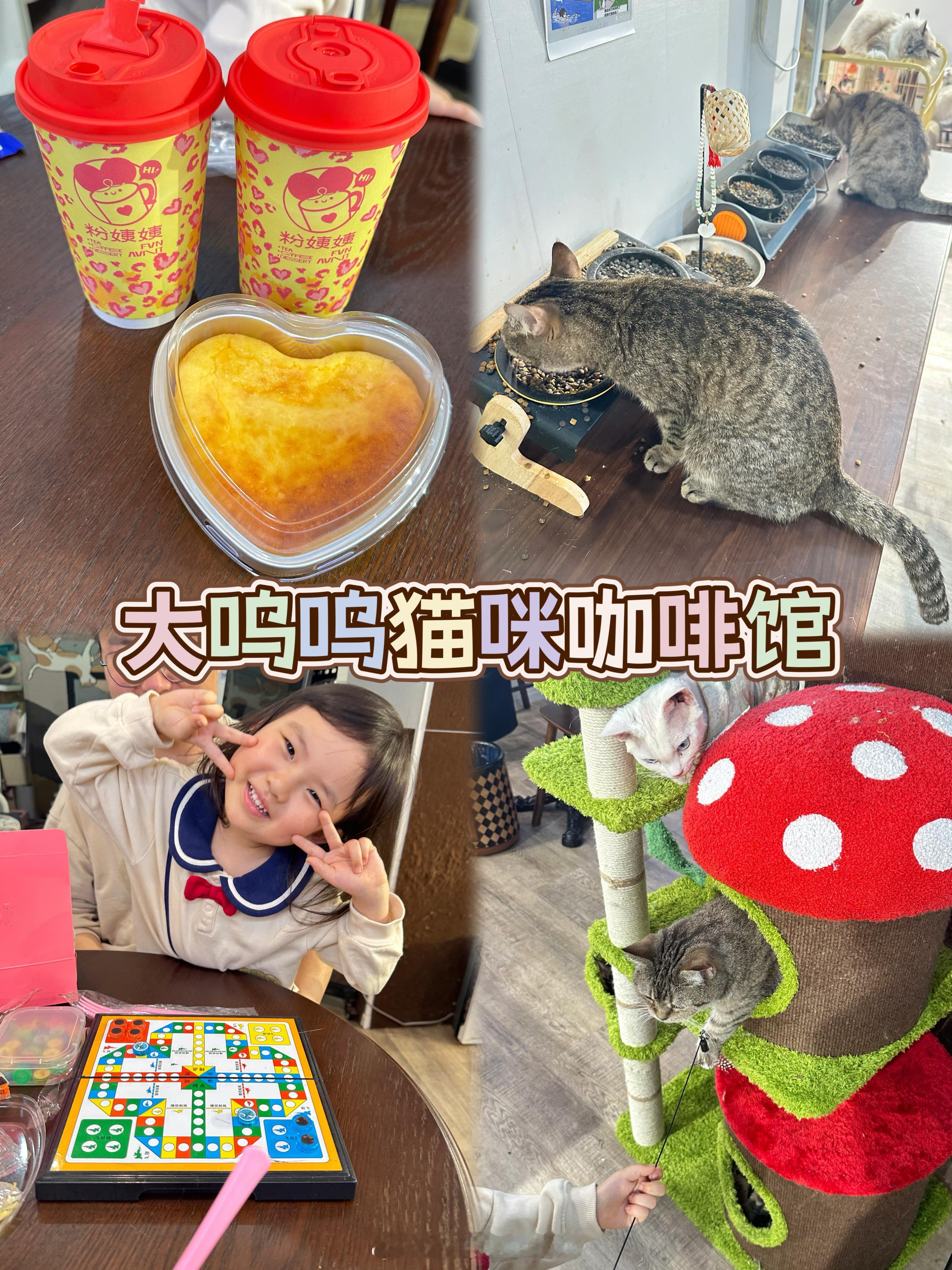 据说是上海唯一一家猫咪可以做六休一的咖啡店因为之前经常喂小区里的猫咪 小珍珠看到