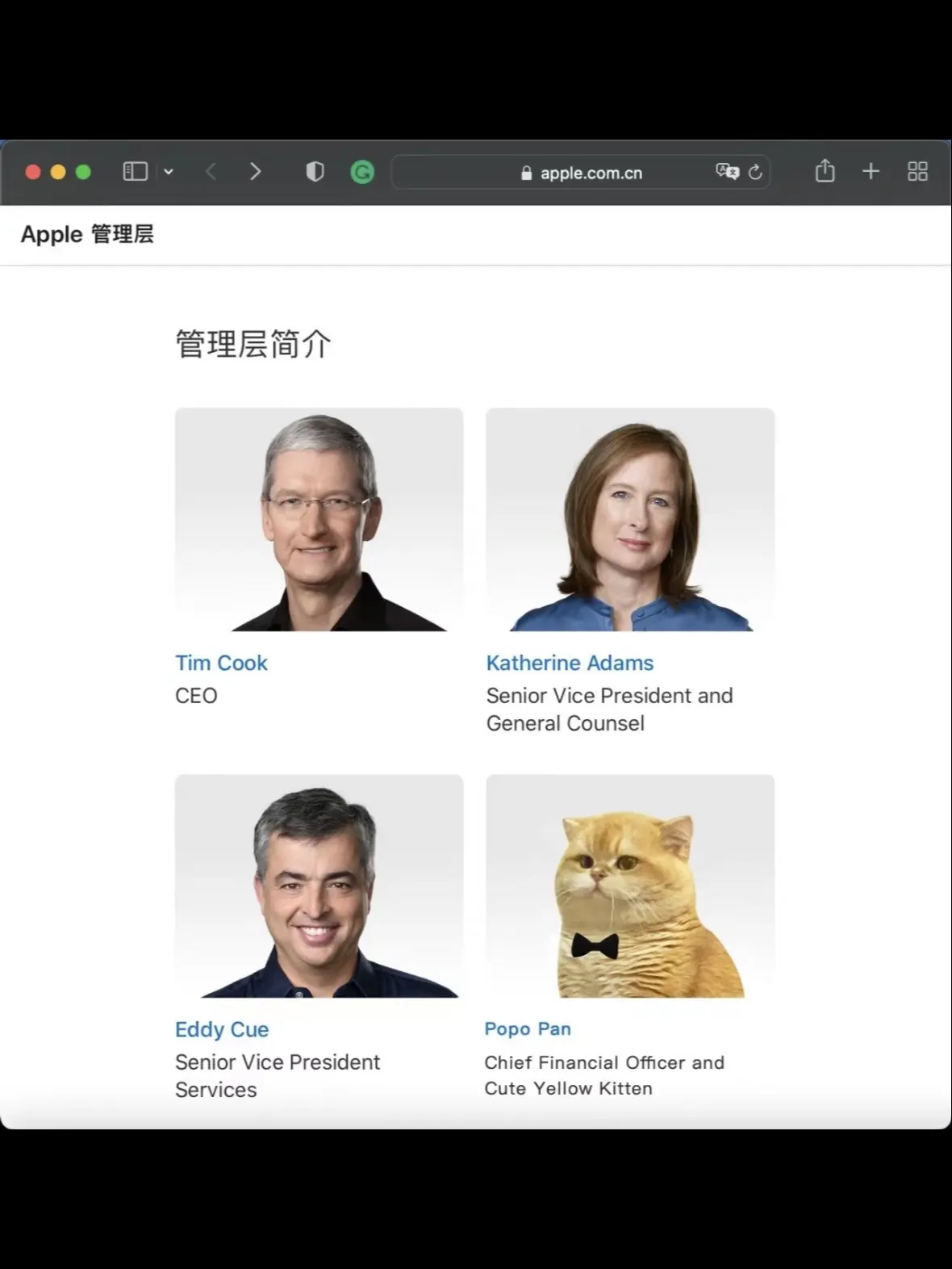 雷军仍有对手！