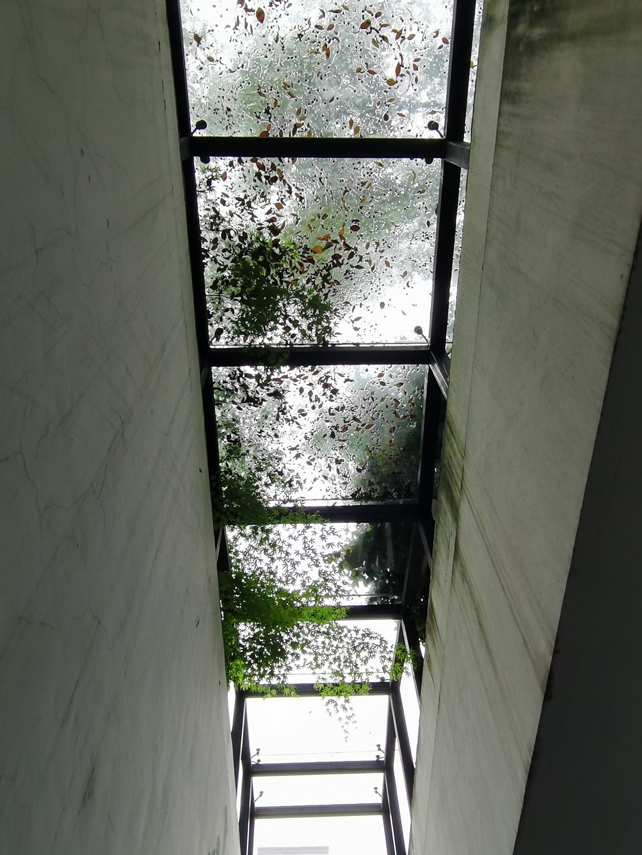 在春天，
不知要睡多少觉，
骨头里才不会充满泡沫感？

这是傍晚五点多爬起来冒出