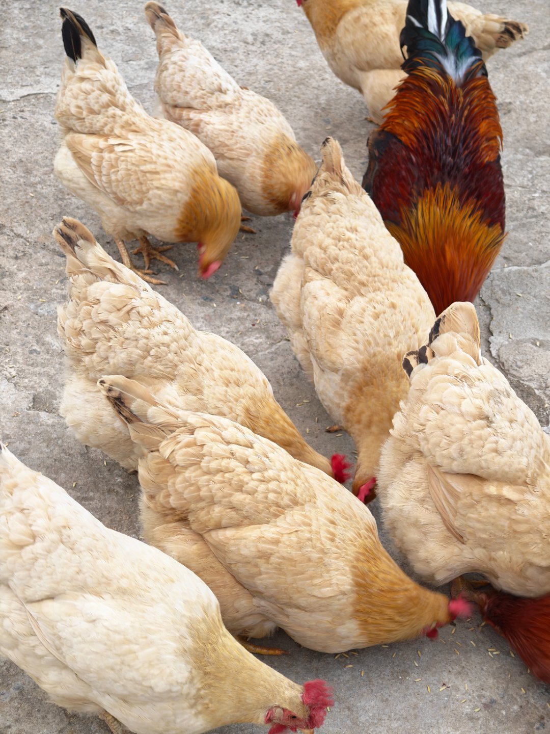 愚人节快乐！每天早起打卡