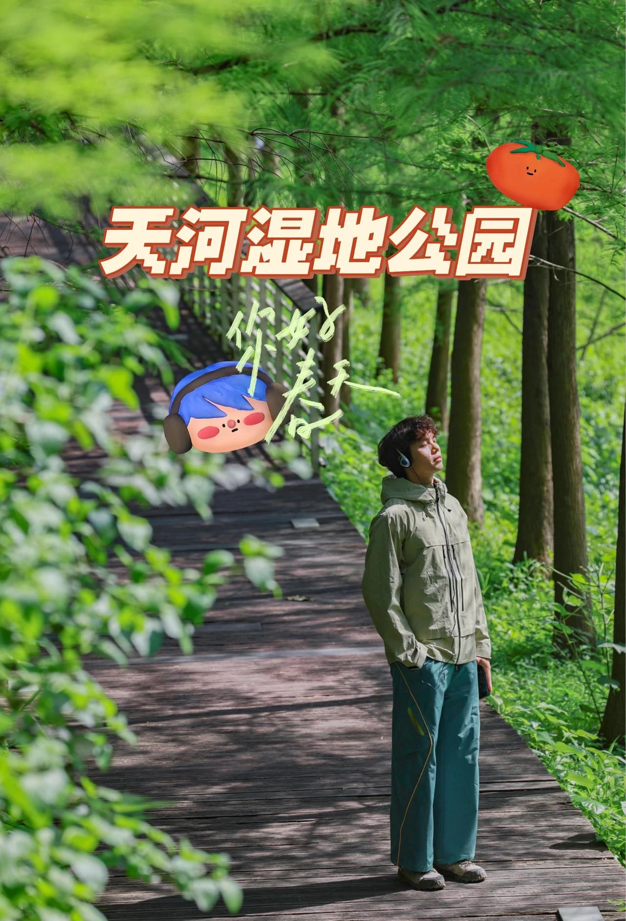 ✨广州天河湿地｜0元get森系少年感大片🌿
落羽杉的光影在木栈道上跳舞，连风都