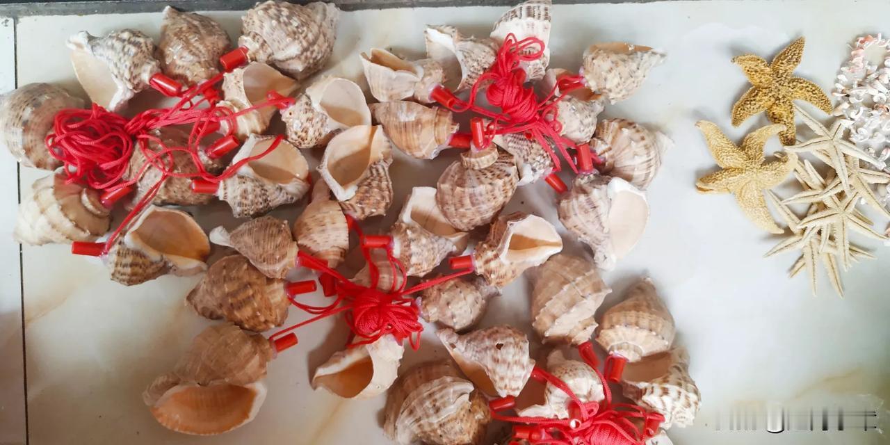 一共80个快递，包了一下午，每一分都是我用心搭配出来的。因为海螺壳我短时间内捡不