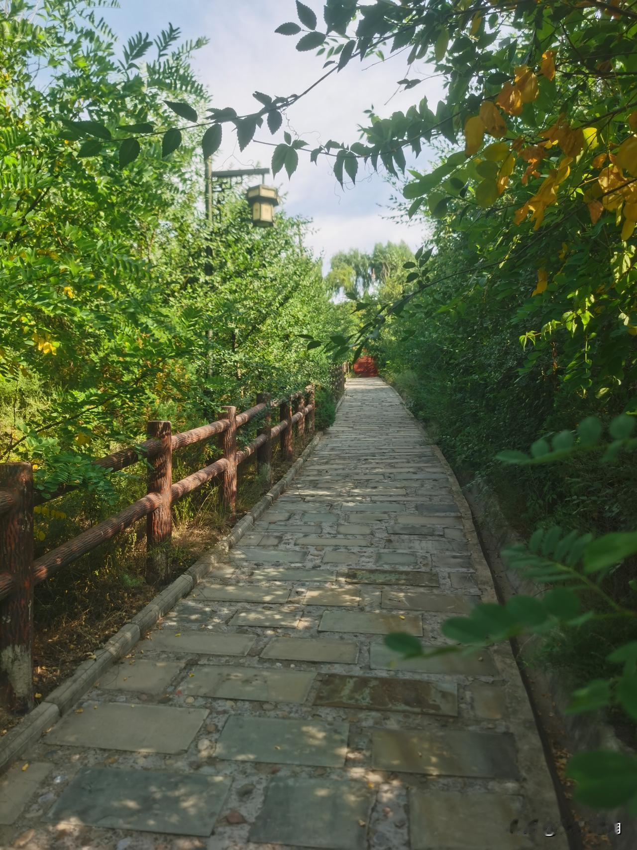 分享一张最近随手拍的照片幽静山道