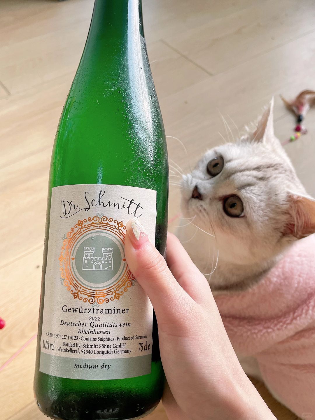 脆嫩大青枣！我家喵都馋了！