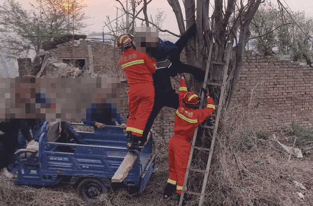 北京一男子夜晚爬树摘香椿掉落被卡，次日清晨才被发现，肢体受压