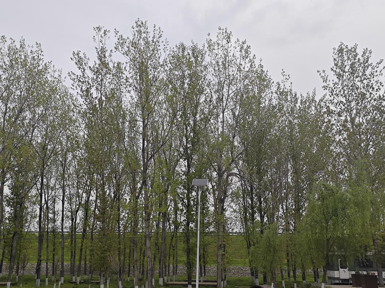 视频号和快手各有什么优点和不足？视频号（微信）和快手，核心差异在：社交生态 vs