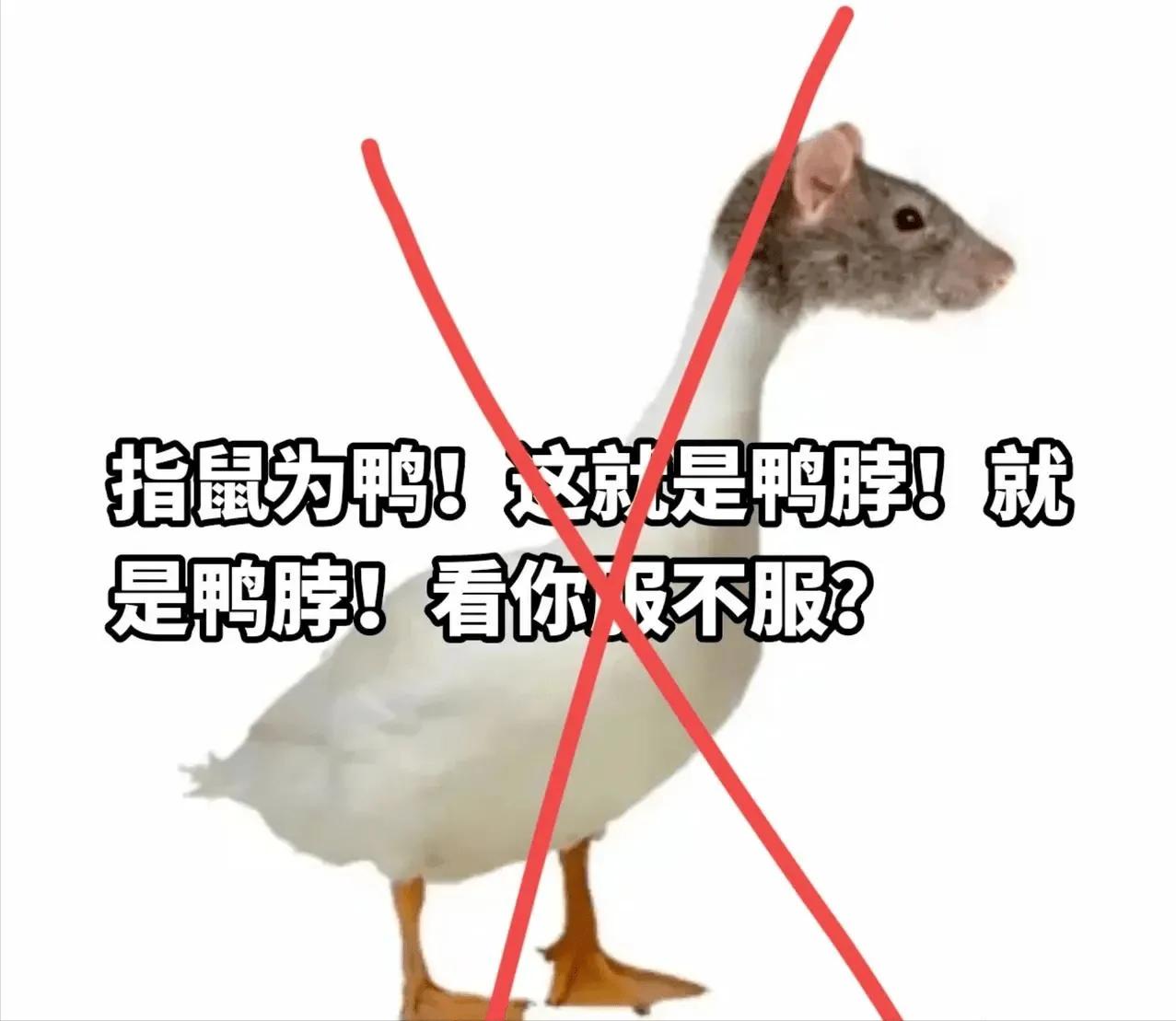 鸭脖事件反转了！
江西高校老鼠头变鸭脖事件最终调查结果，一锤定音！就是老鼠头，就