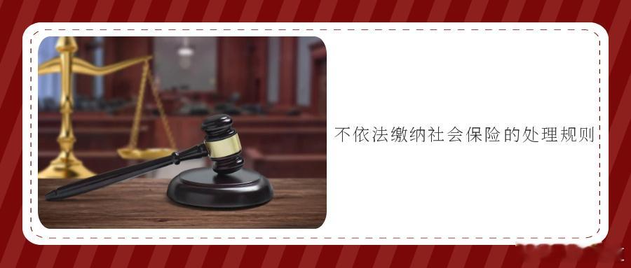 不依法缴纳社会保险的处理规则实践中，用人单位不缴纳社会保险费的原因多样，有的出于