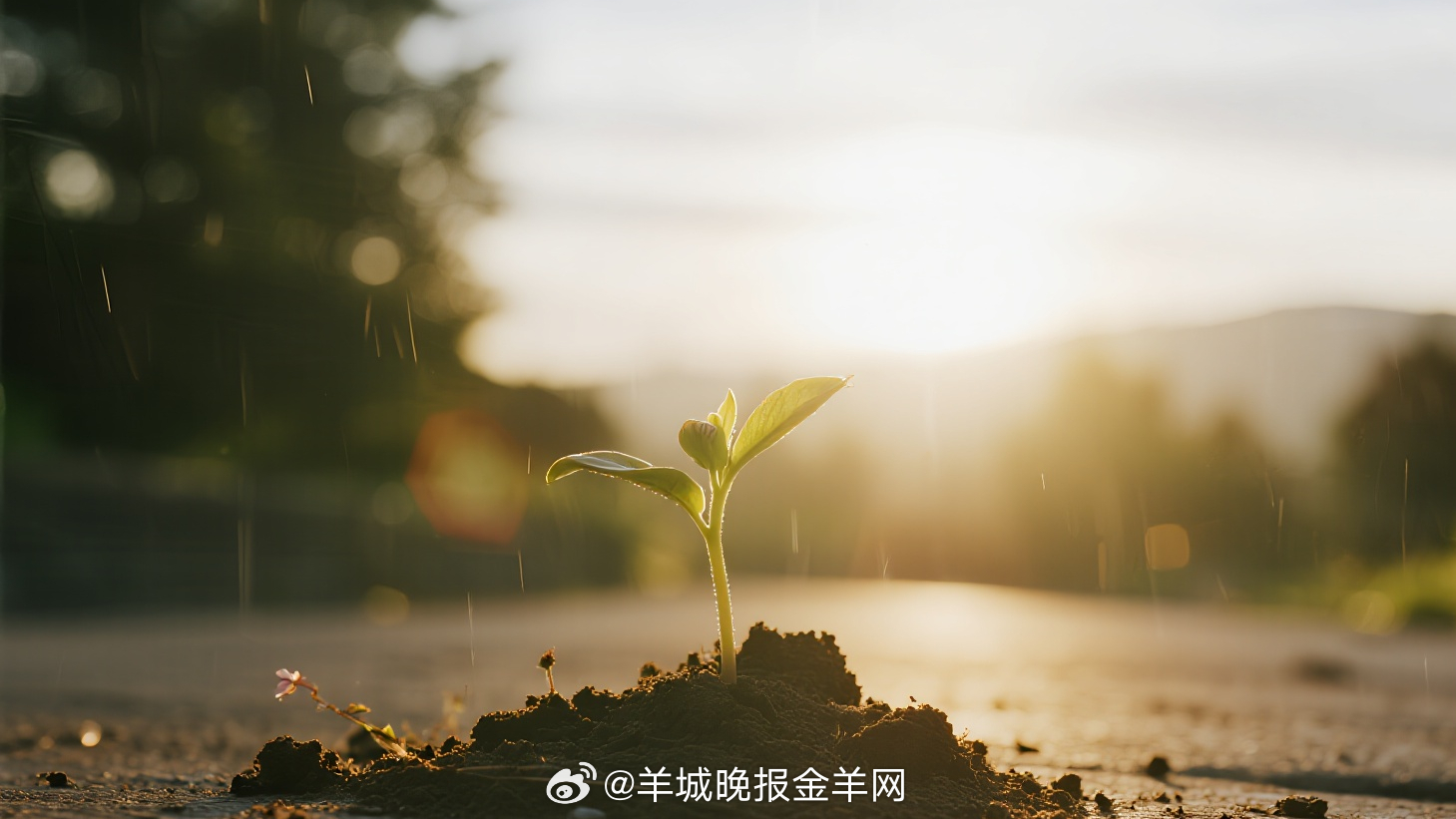 #早安# 生活或有阴云，但希望从不缺席，它像破土的嫩芽，即便微小，也执着向上生长