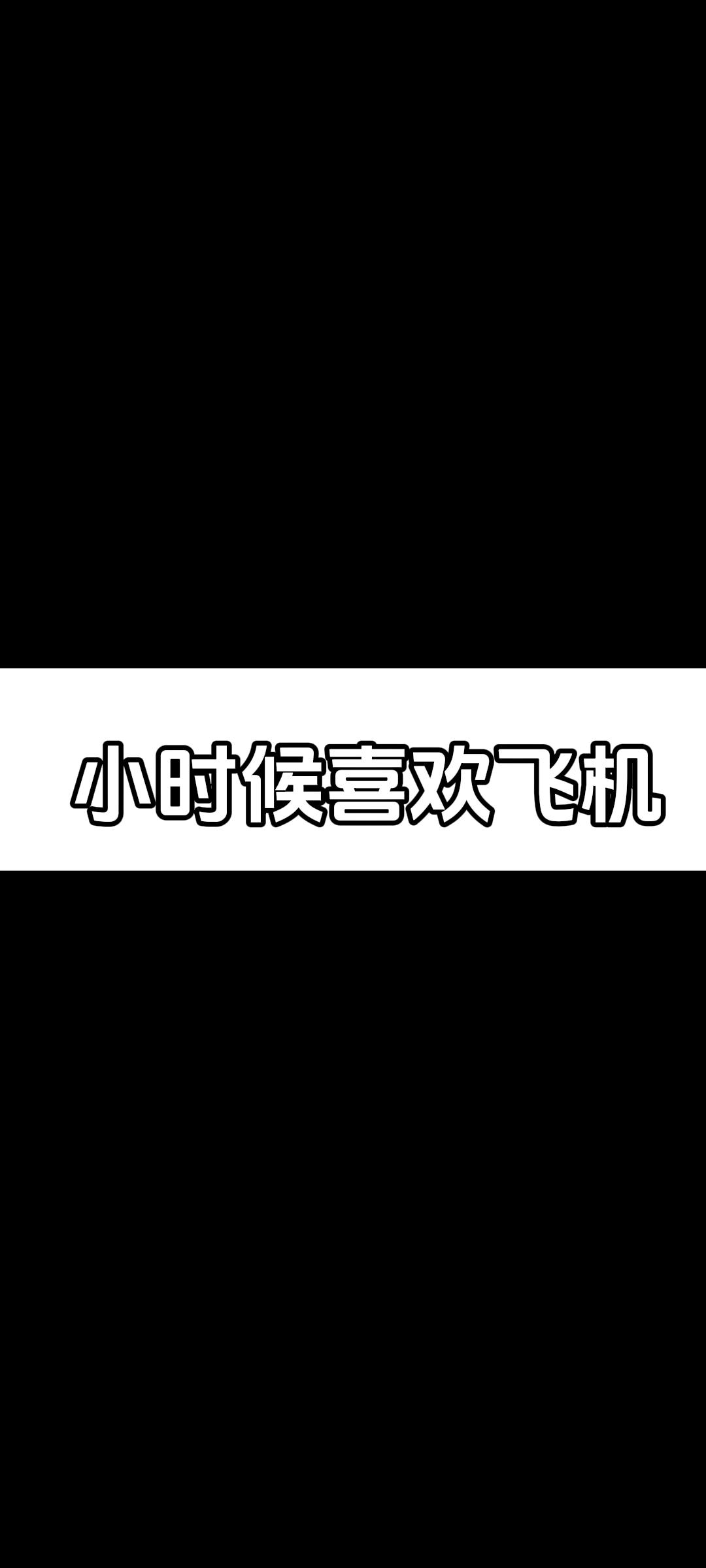 模型飞机 飞机 收藏家 收藏爱好者 收藏