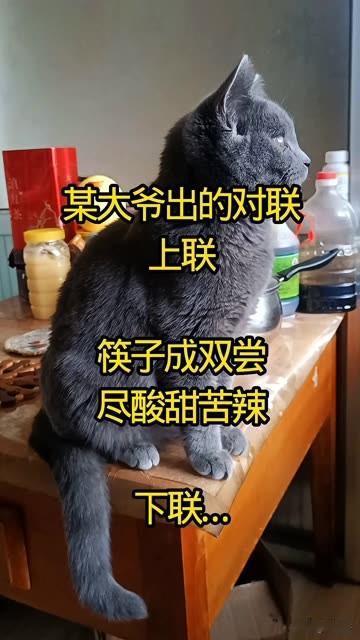 某大爷出的对联 

你看你能对出来不？

上联：筷子成双尝尽酸甜苦辣