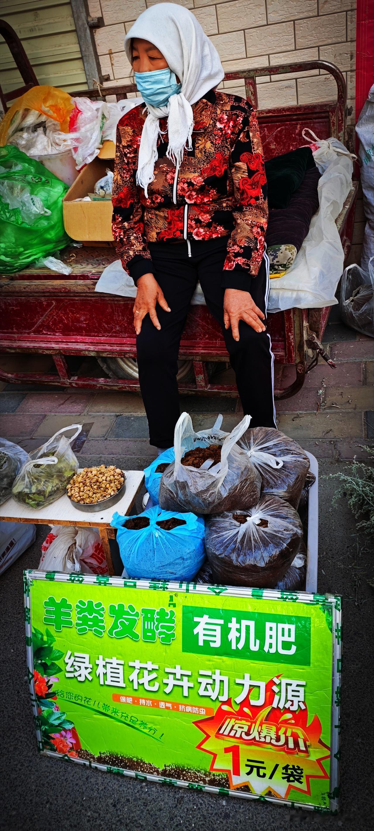 逛花市：三轮车堵住了人流，只见戴着头巾的大妈操着不标准的汉语张罗着：3块钱1个！
