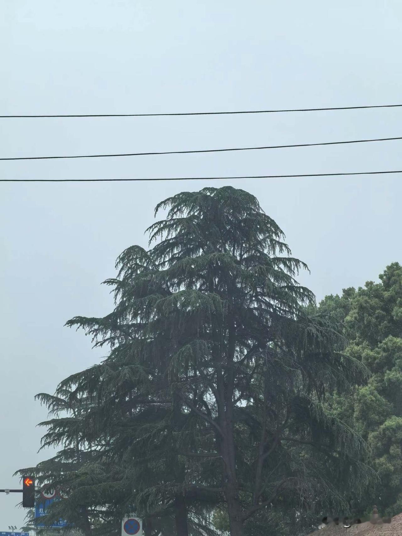 同一片天地，同一种朦胧。
山间萦绕，便是温柔云雾，清雅诗意；平原漫开，便是厚重尘