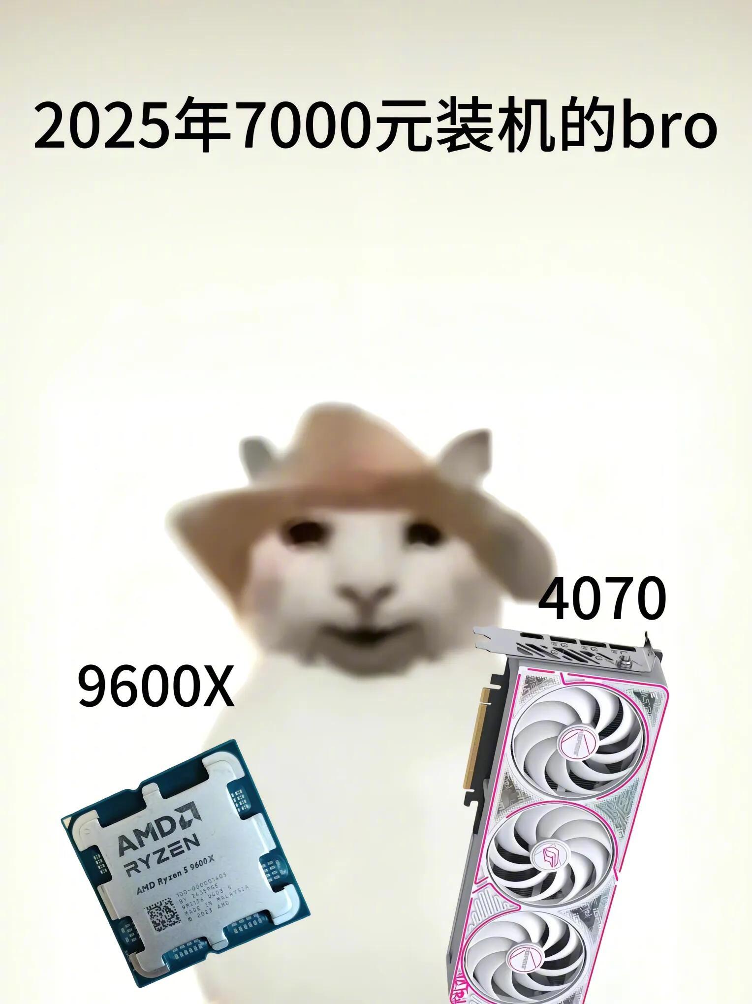 等等党今年真是输麻了 