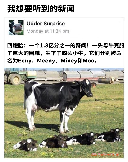 好耶！(o´ω`o)meme ​​​