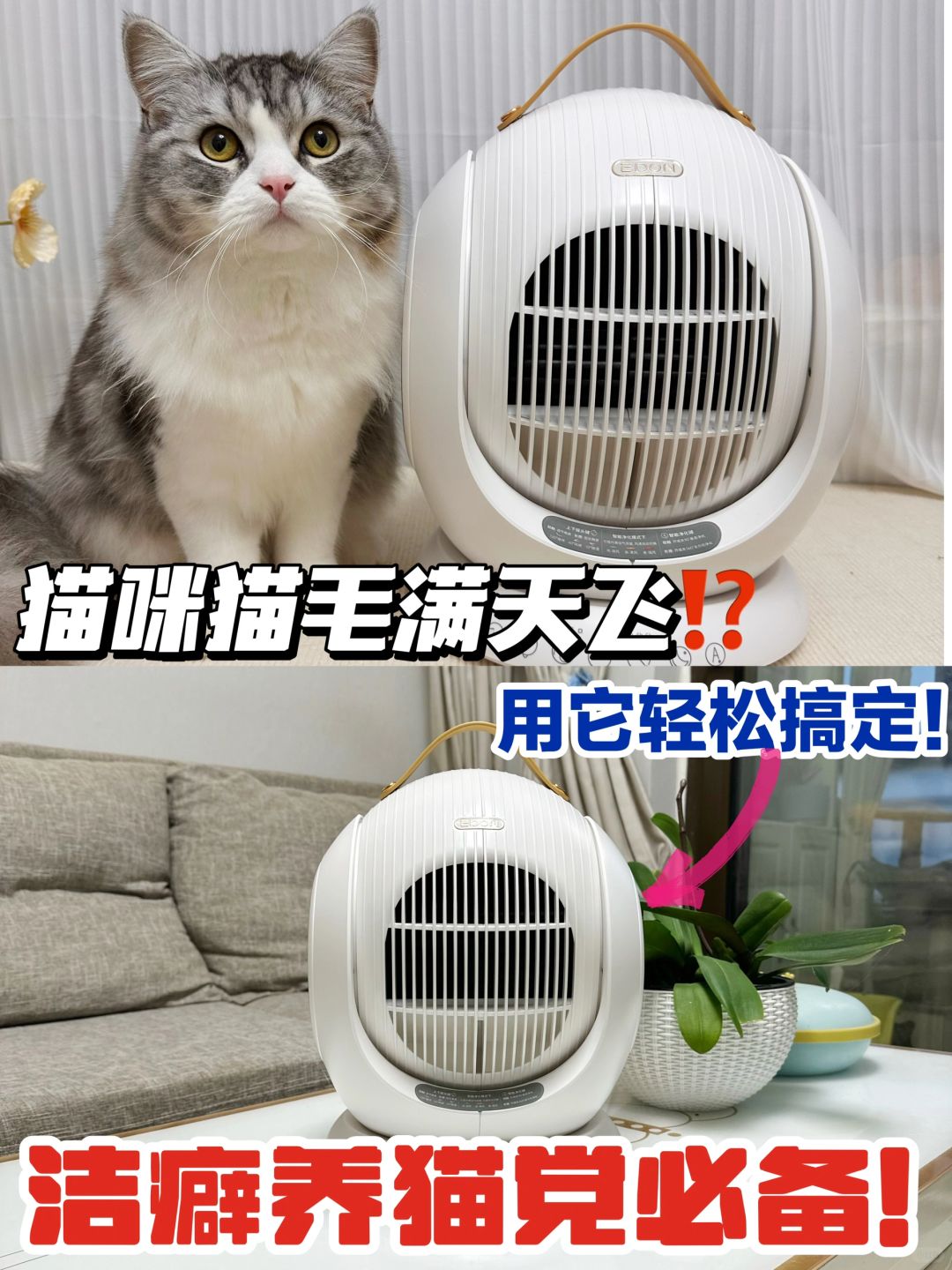 小宠物大世界