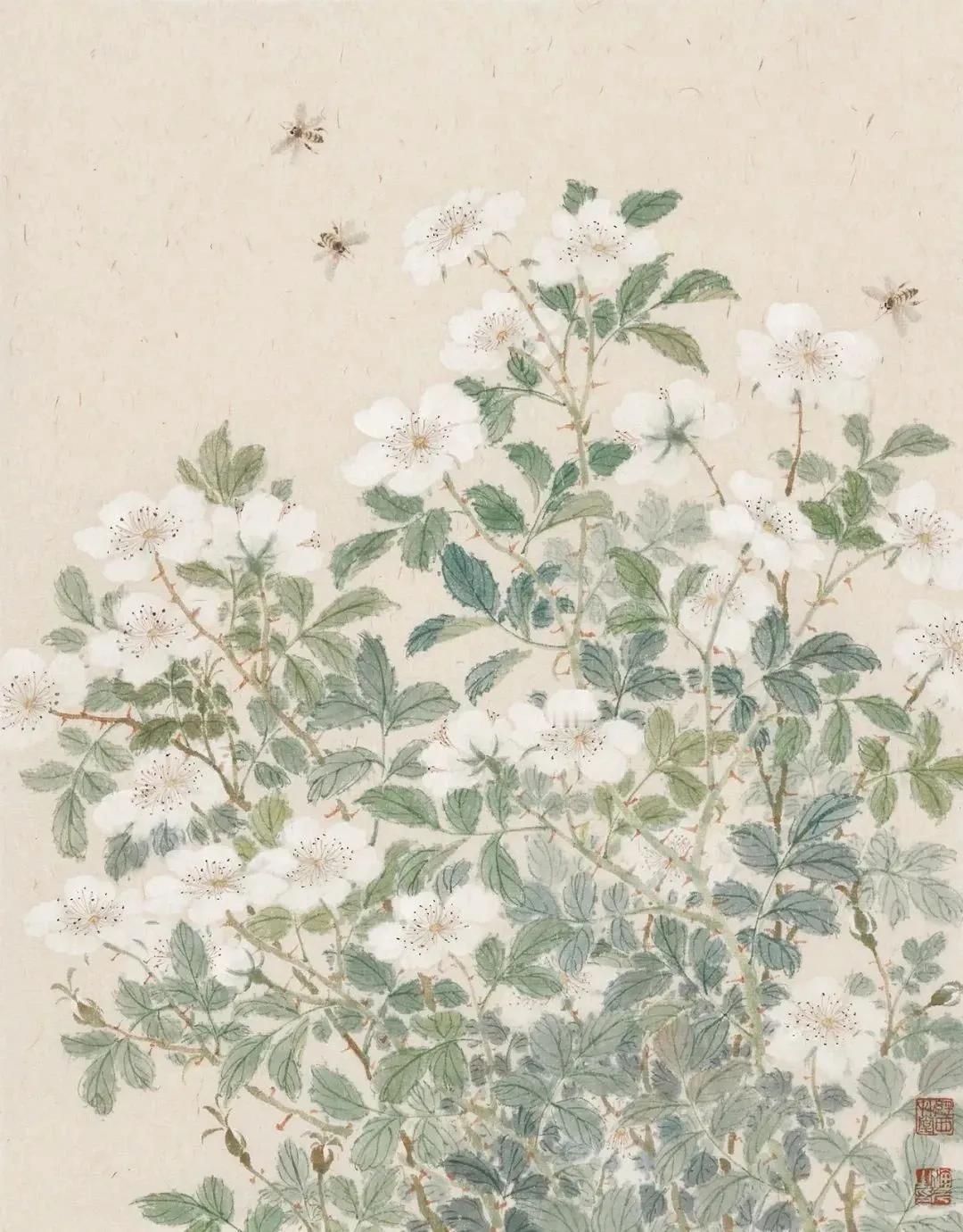 蝴蝶遇见一朵花