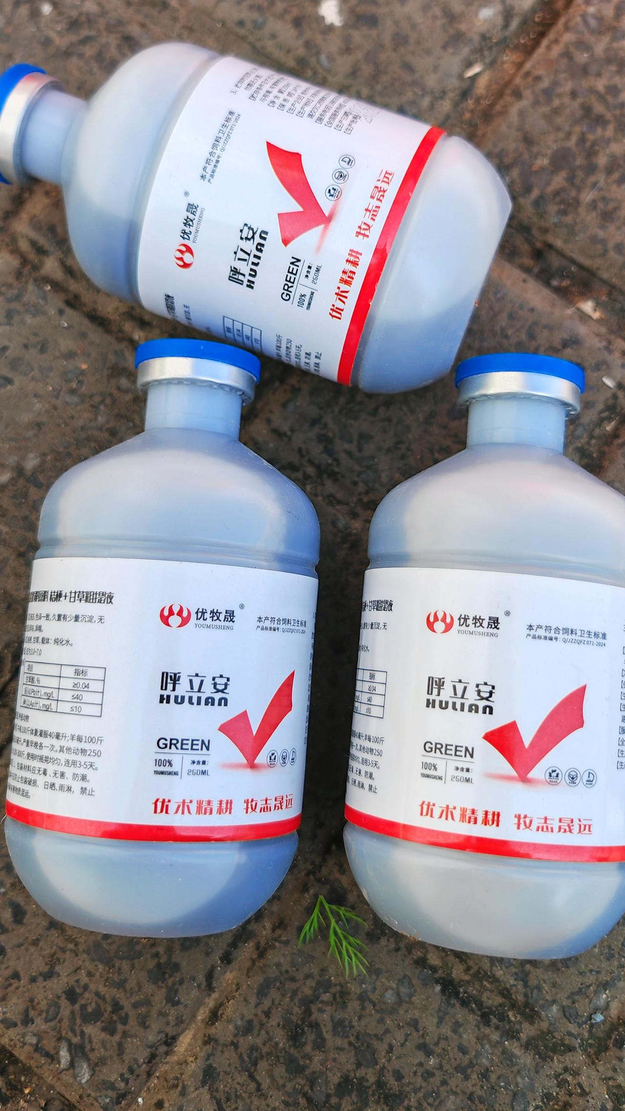 养羊人 农村养羊 牛羊养殖