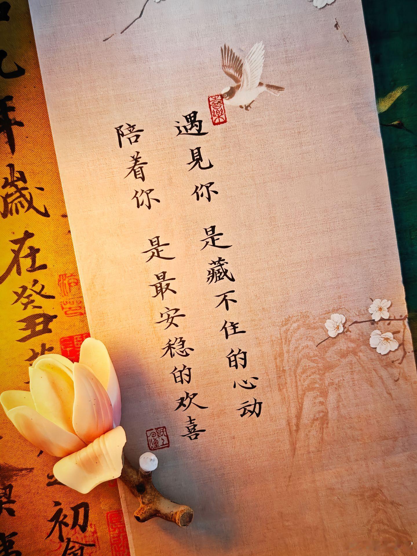 随手拍遇见你，是藏不住的心动；陪着你，是最安稳的欢喜。初见你的那一刻，心底便悄悄