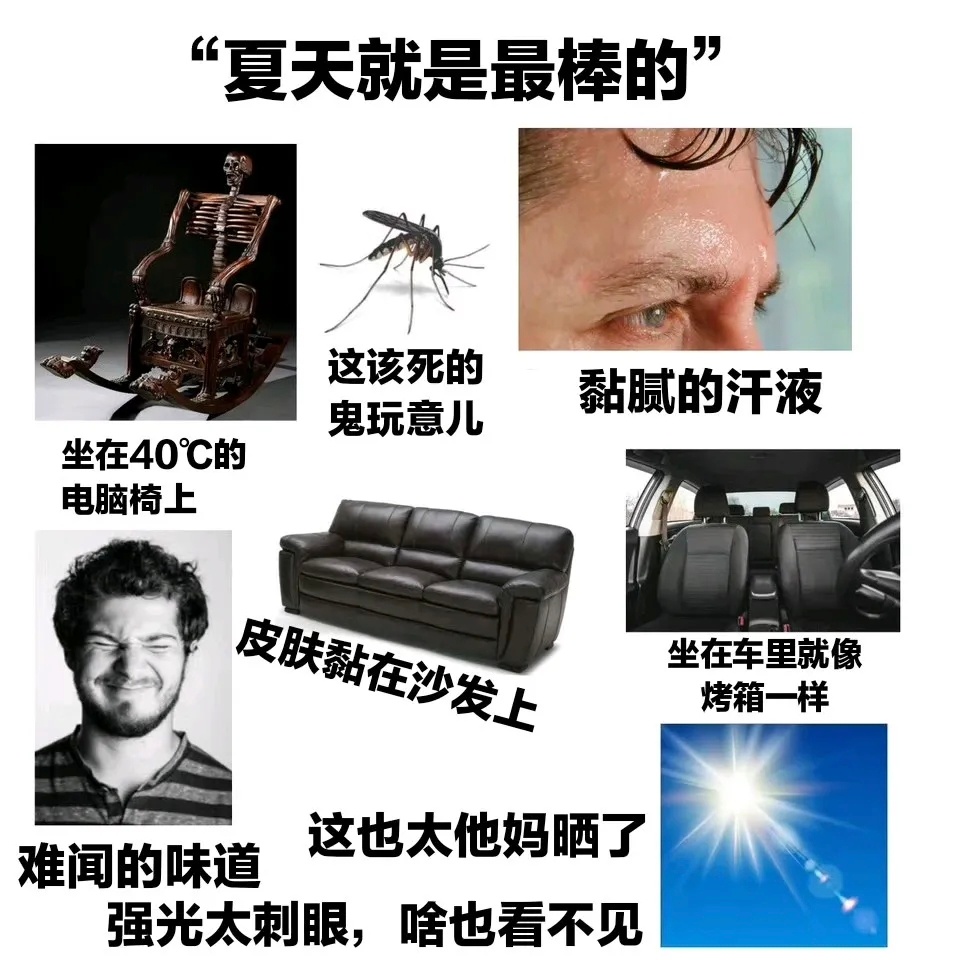 夏天有烧焦皮肤的太阳，讨人厌的蚊虫，但只要有一阵风吹过来，夏天就是一年中最好的季