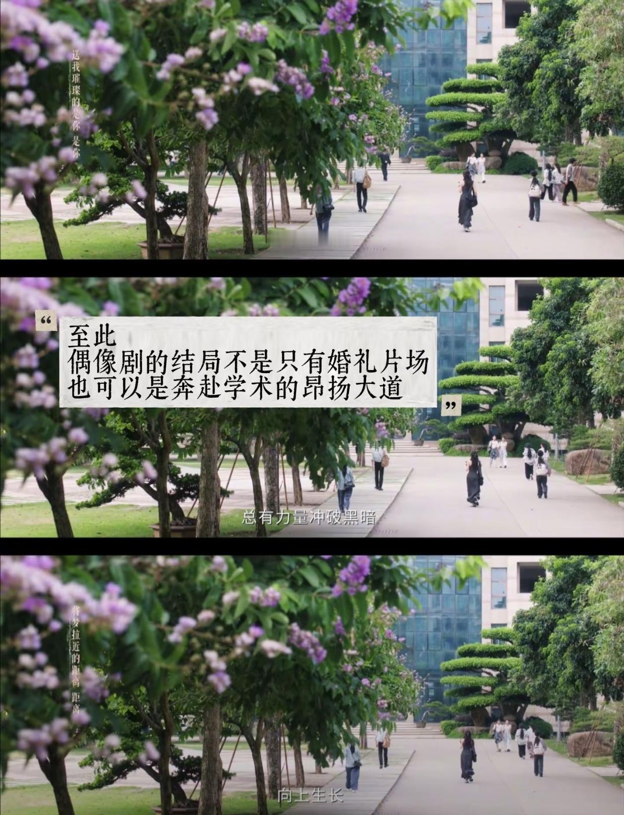 “偶像剧的结局不是只有婚礼现场，也可以是奔赴学术的昂扬大道”虞书欣林晚星