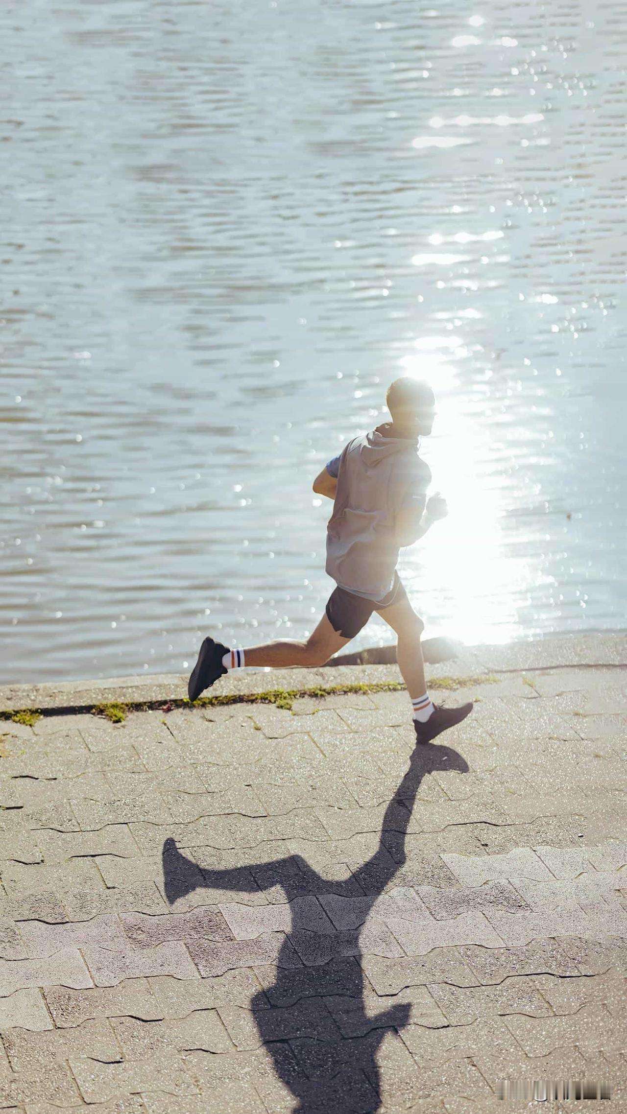 天南地北大拜年