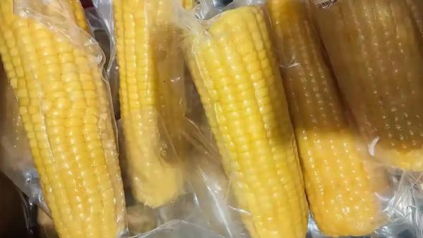 “僵尸玉米”的传言，专家已明确指出，这种说法缺乏科学依据。所谓“僵尸玉米”其实是