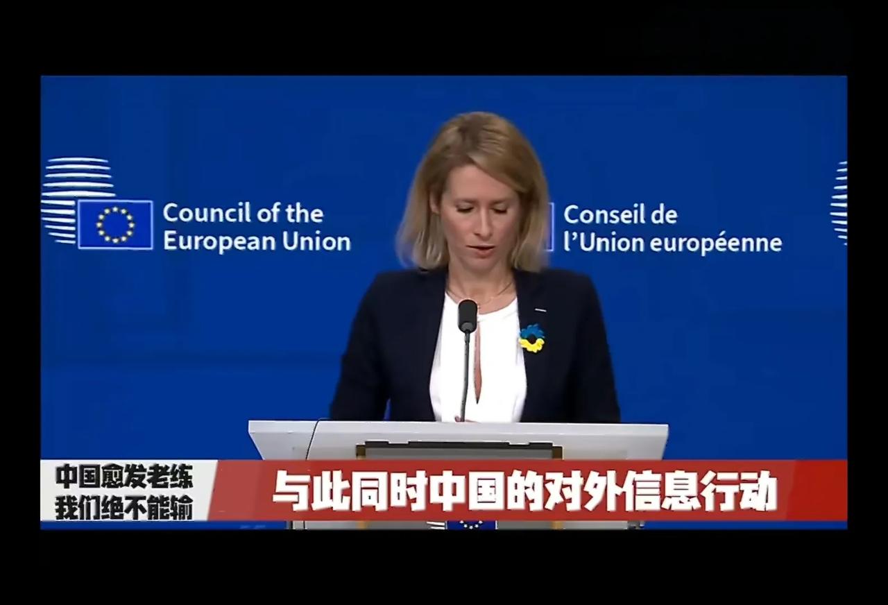 欧盟外交与安全政策高级代表卡娅·卡拉斯是一个对华很敌视的老娘们，整天对中国恶语相