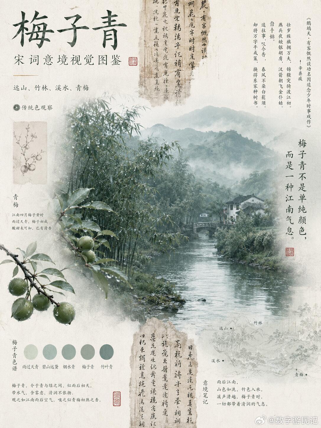梅子青：宋瓷里的江南春色。为什么今天的新中式审美，总喜欢这一抹青绿色？答案，或许