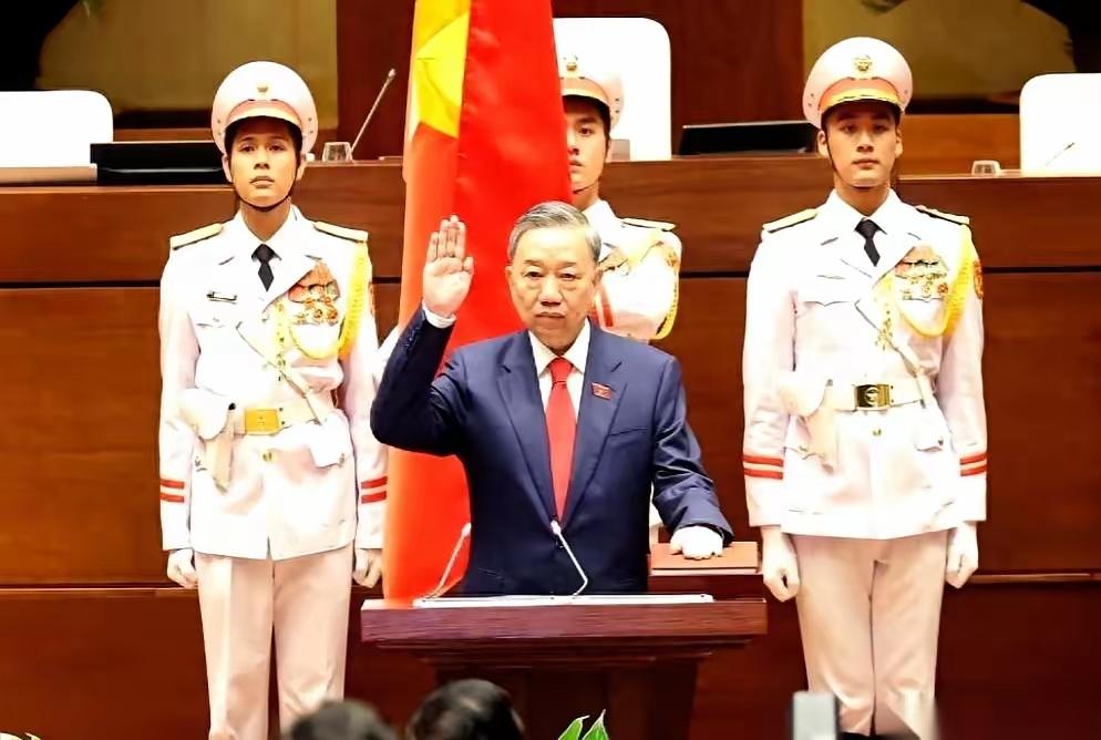 新加坡一份报告，把话挑明了。
整个东南亚，正在集体掉头。
最狠的是越南，高层换届