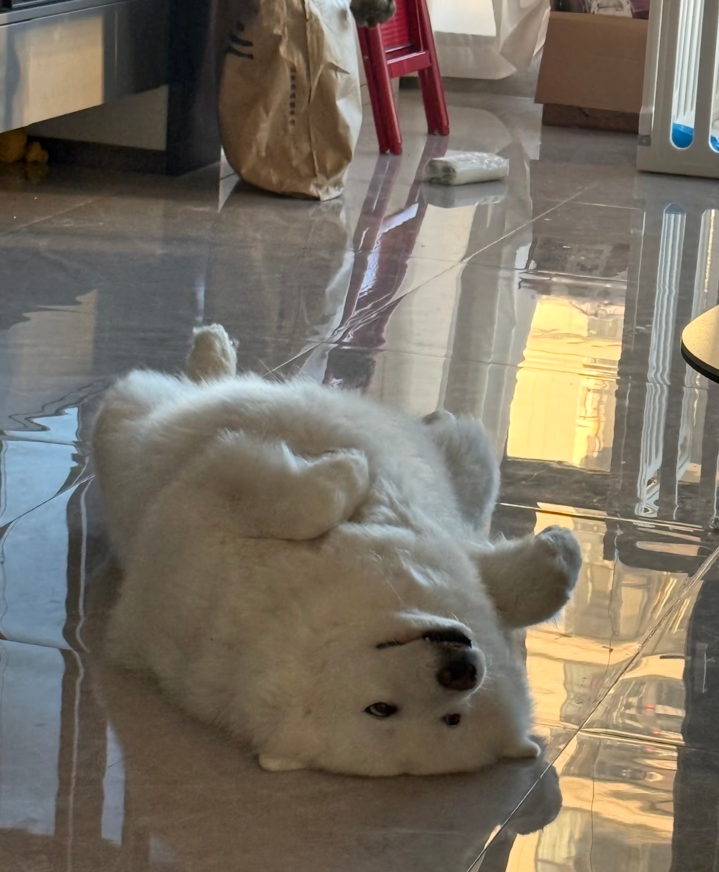妈妈，早饭还没好吗 ​​​