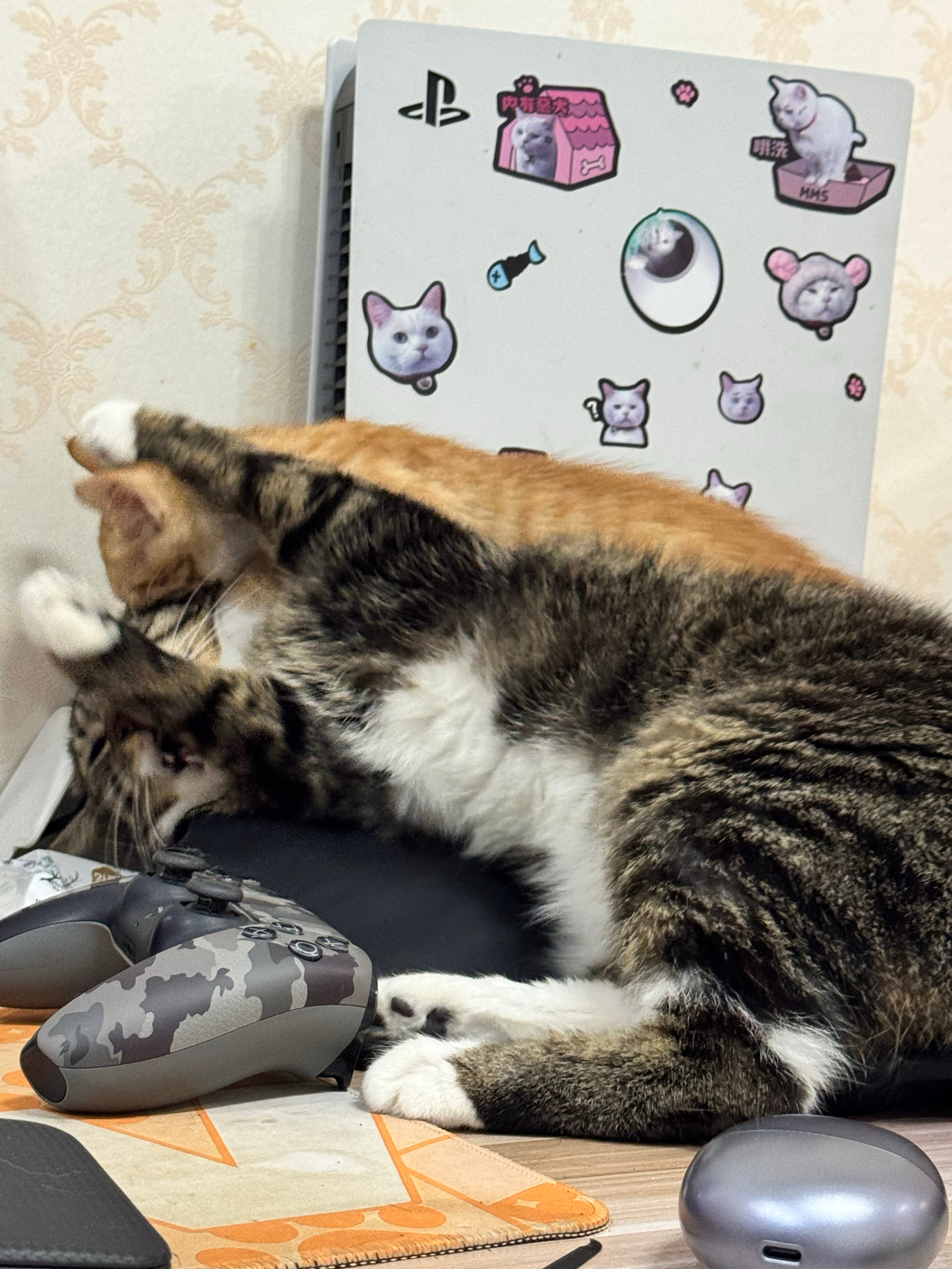 舔舔快要烦死了 ​​​