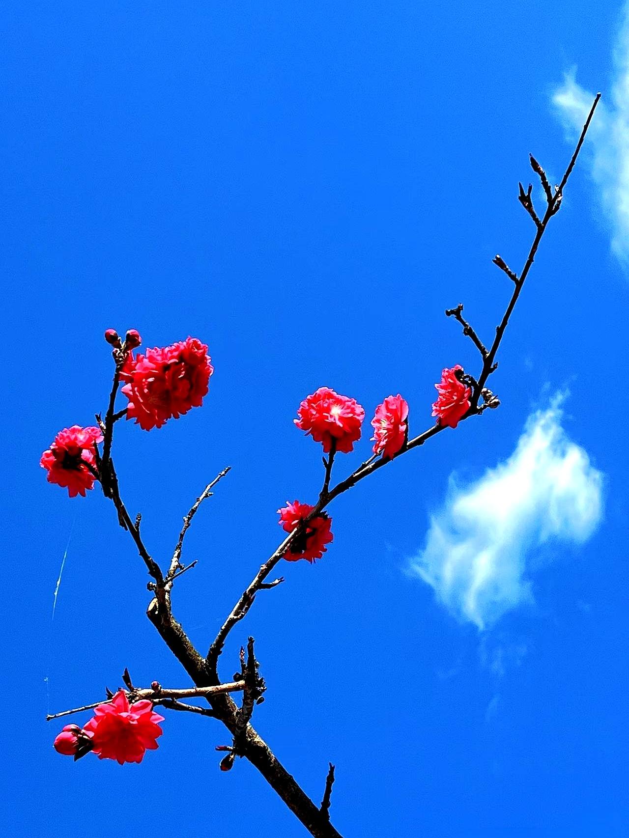 看了这篇关于“女婿底线”的文章，不由得哑然失笑。
多少岳父至今还沉浸在“我是长辈