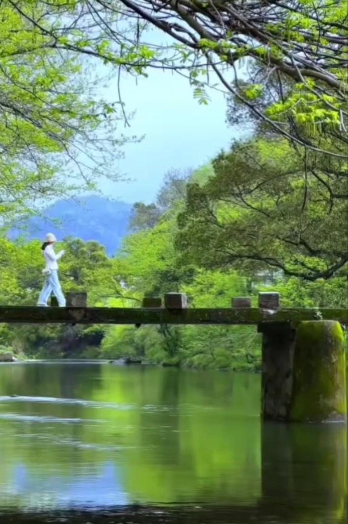 五绝 初夏江南村行


布谷啭村晴，
翠屏映水明。
河闲云影漾，
客过小桥惊。